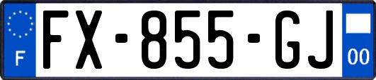 FX-855-GJ