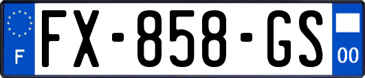 FX-858-GS