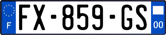 FX-859-GS