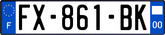 FX-861-BK