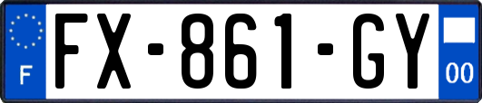 FX-861-GY
