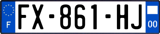 FX-861-HJ