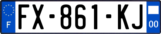 FX-861-KJ