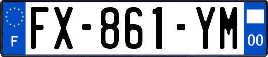 FX-861-YM