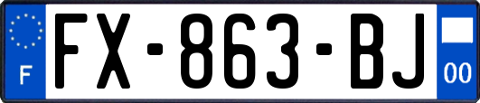 FX-863-BJ