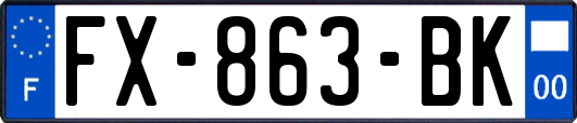 FX-863-BK