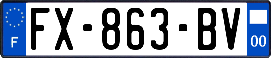 FX-863-BV
