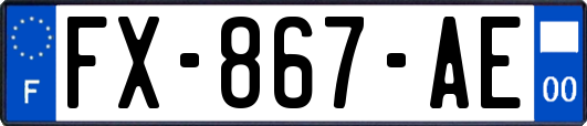 FX-867-AE