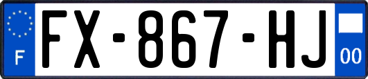 FX-867-HJ