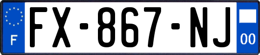 FX-867-NJ