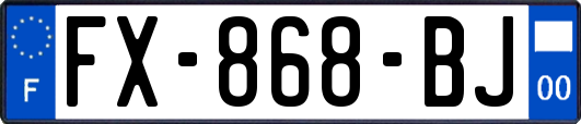 FX-868-BJ