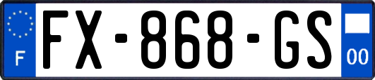 FX-868-GS