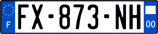 FX-873-NH