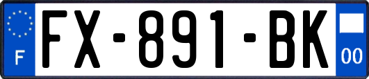 FX-891-BK