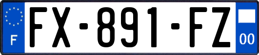 FX-891-FZ