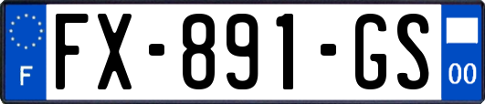 FX-891-GS