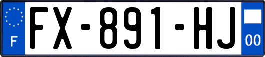 FX-891-HJ