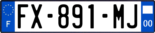 FX-891-MJ