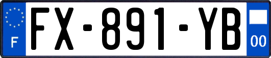 FX-891-YB