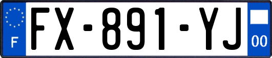 FX-891-YJ