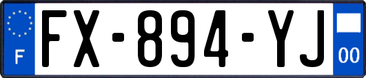 FX-894-YJ