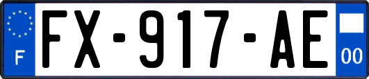 FX-917-AE