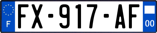 FX-917-AF