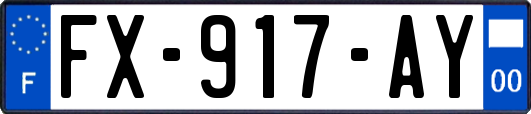 FX-917-AY