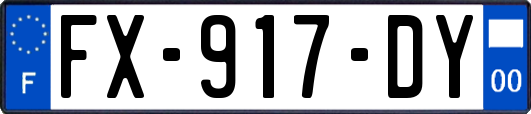 FX-917-DY