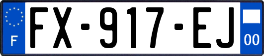 FX-917-EJ