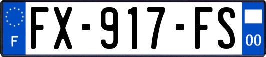 FX-917-FS