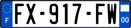 FX-917-FW