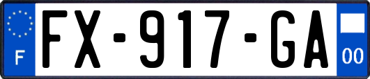 FX-917-GA