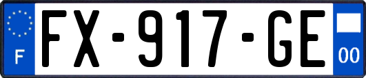 FX-917-GE