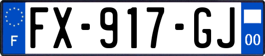 FX-917-GJ