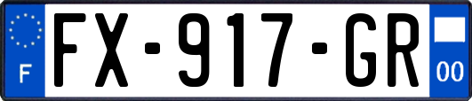FX-917-GR