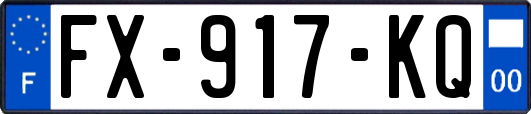 FX-917-KQ