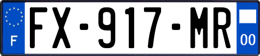 FX-917-MR