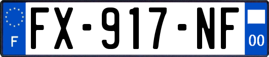 FX-917-NF