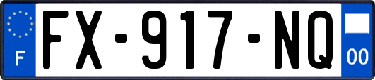 FX-917-NQ
