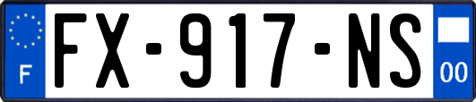FX-917-NS