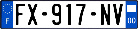 FX-917-NV