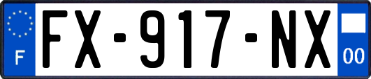 FX-917-NX