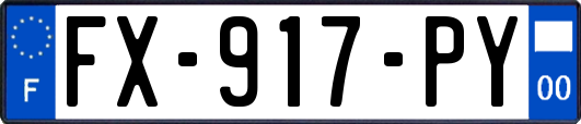 FX-917-PY
