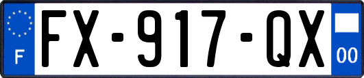 FX-917-QX