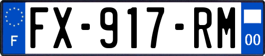 FX-917-RM
