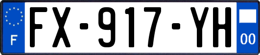FX-917-YH