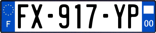 FX-917-YP