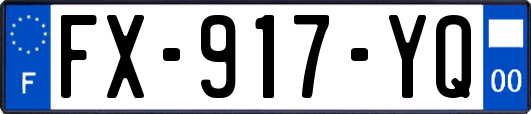 FX-917-YQ