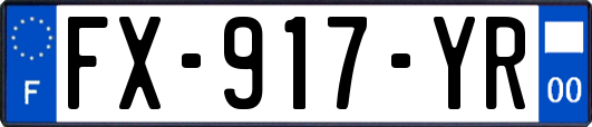 FX-917-YR